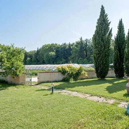 B&B Casa Betulla Pisa Exterior photo