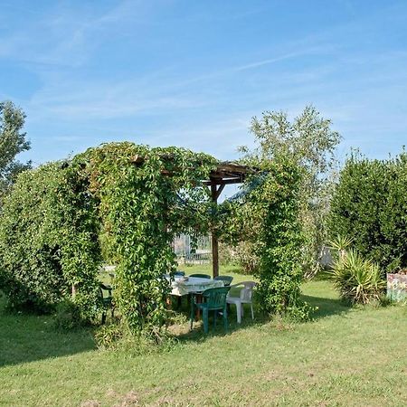 B&B Casa Betulla Pisa Exterior photo